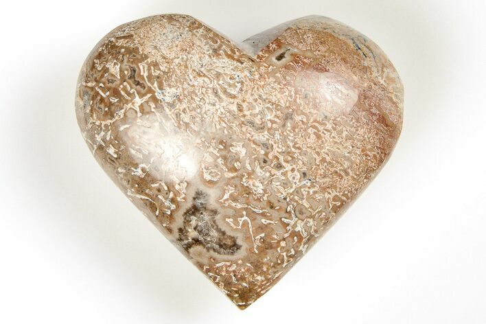 2" Polished Dinosaur Bone (Gembone) Heart - Morocco